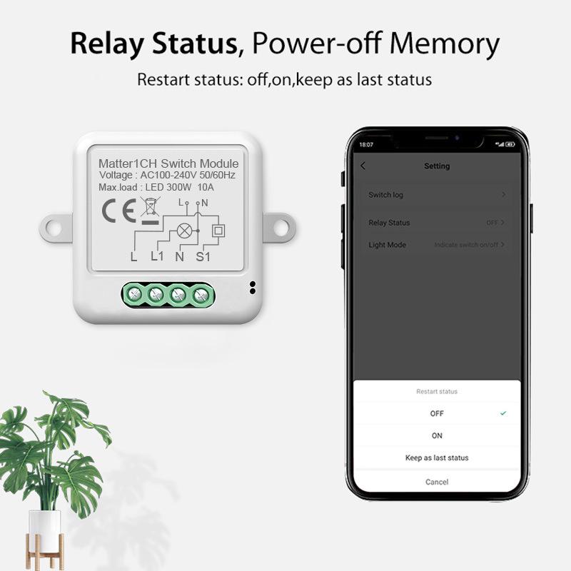 Smart Apple Homekit Matter WiFi Swtich Module DIY Bulb Circuit Breaker App Control Voice Assistant Via Siri Google Home Alexa