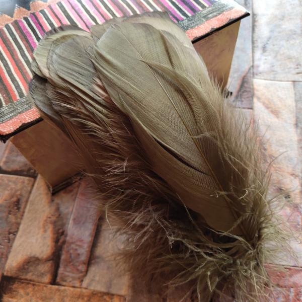 20pcs Natural Goose Feathers 31 Color Loose Goose Feathers 12-20cm Long Christmas Decoration Clothing Shoes Hat Accessories