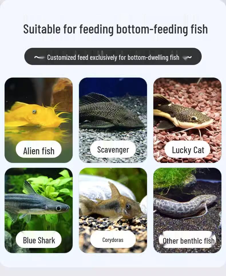 Yeeb Alien Sinking Fish Food for Suckerfish, Queen, Sailfin Pleco, and Panda Fish