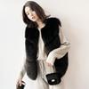 Autumn and winter clothing imitation fur vest women's short Korean version vest imitation fox fur vest splicing jacket