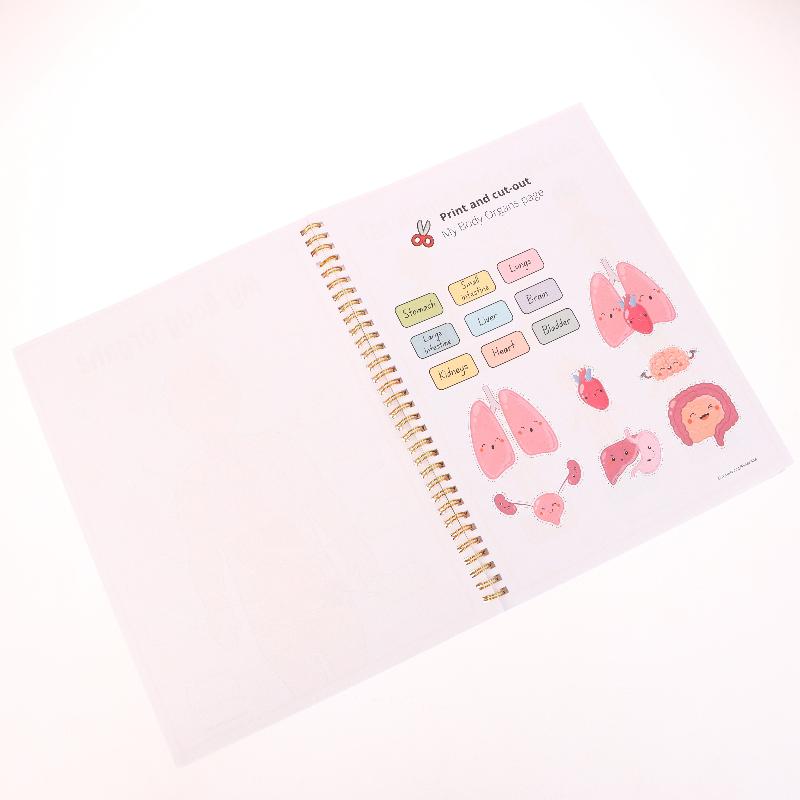 Creative Human Anatomy Busy Book Children'S Fun Learning Picture Album With Illustration Learning Planner