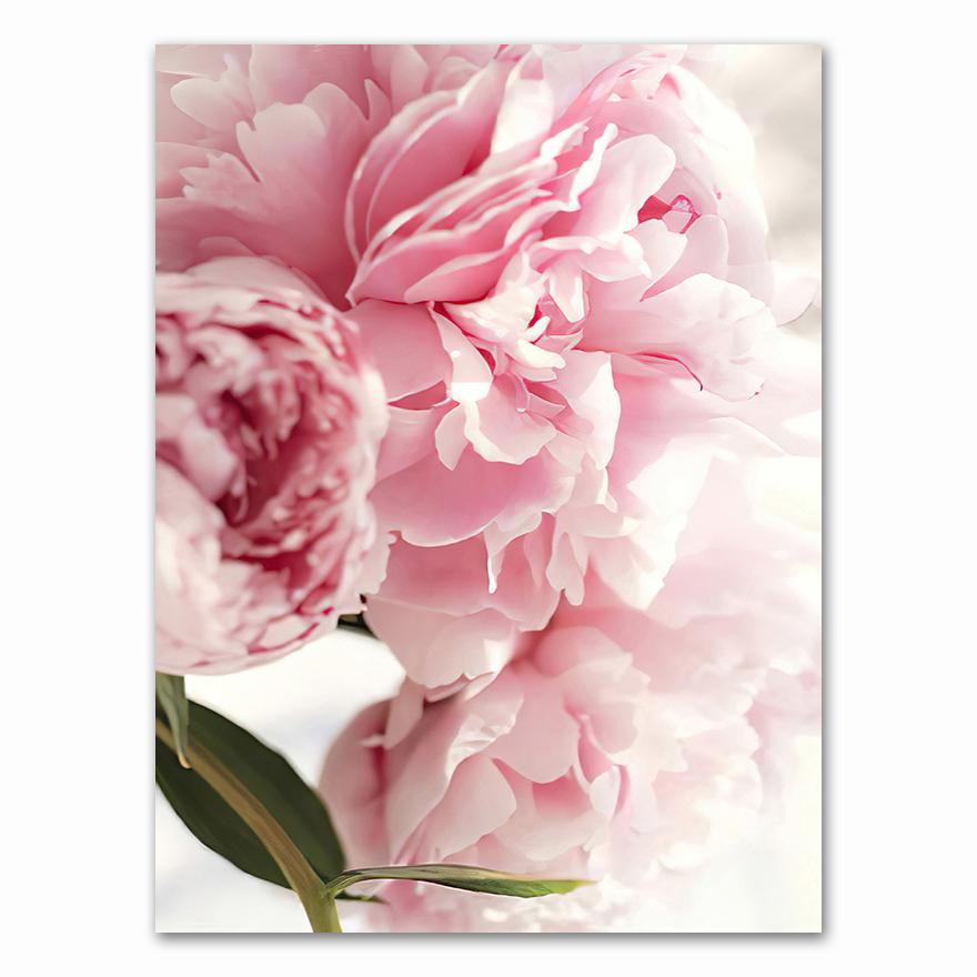 Canvas Painting Elegant Peony Flower Phrase Poster And Print Wall Art Picture For Living Room Home Decoration Nordic Decor