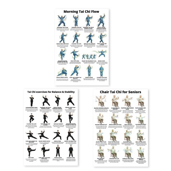 

3Pcs Seated Tai Chi Practice Poster for Seniors Balance Stability Training Core Lower Limb Strengthening Chair Tai Chi Home Exercise Chart for Sets