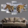 5 pezzi stampa HD dipinti di animali poster da parete opere d'arte animali cougar decorazione della casa moderna per tela soggiorno quadro senza cornice
