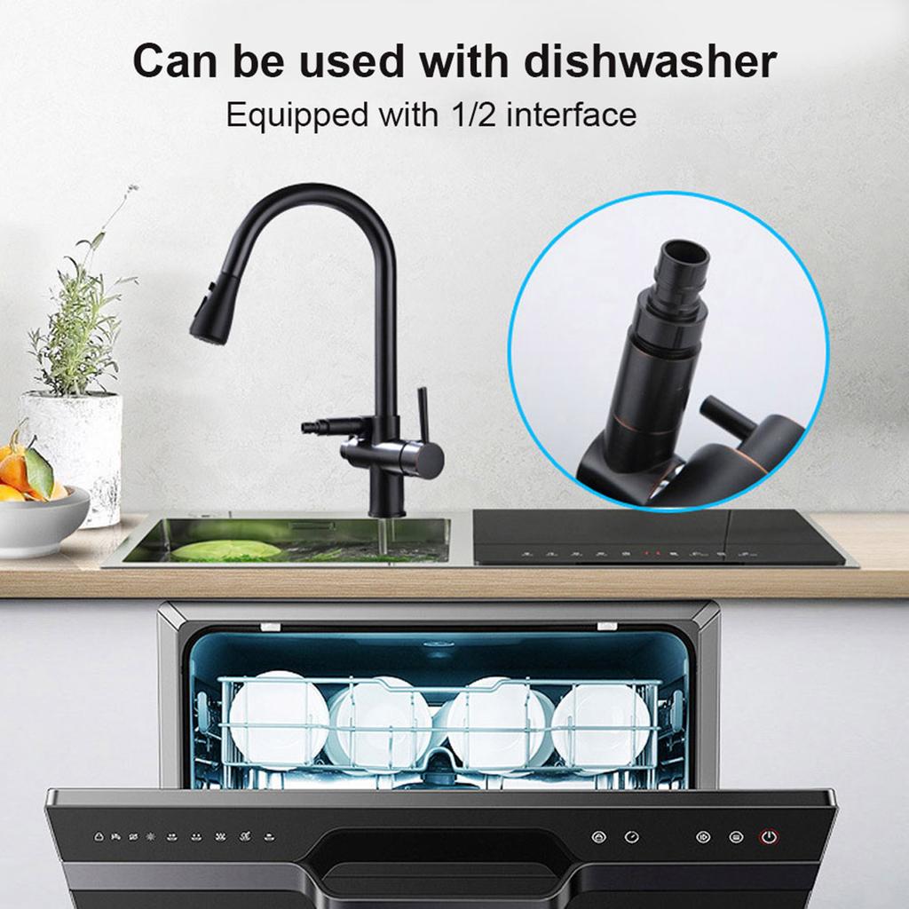 G1Celsius2 Modern 3 In 1 Filter Purifier Kitchen Faucet Double Handle PullOut Sink Hot Cold Water Tap(Electroplated )