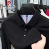 Pierre Cardin Men's Pure Cotton Long Sleeve Polo Shirt