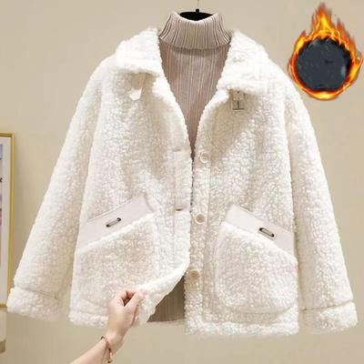 Veste Courte en Fourrure d'Agneau Style Coréen Automne Hiver Polaire Décontractée Chaude pour Femme
