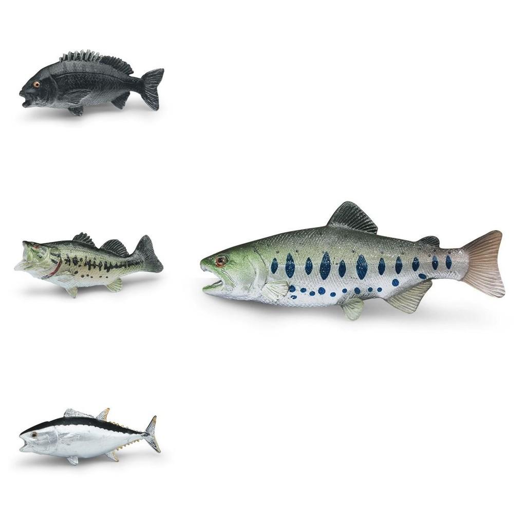 Marine Animal Static Model Toy With Realistic Fish Design For Collectors And Decor