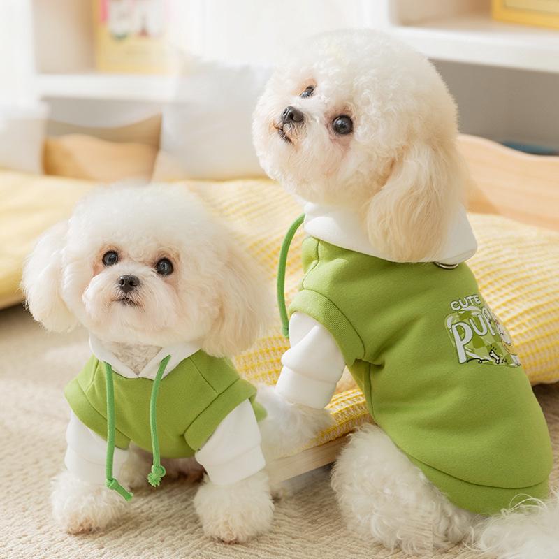 Sweat à capuche tendance pour Bichon et petit chien - Vêtement pour animal de compagnie chaud pour l'automne/hiver à deux pattes