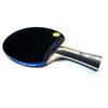 Originálna 3-hviezdičková raketa na stolný tenis DHS 3002 3006 (Guma PF4) 3-STAR H3002 H3006 Ping pong pálka s okrúhlym puzdrom