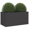 vidaXL Pflanzkübel Schwarz 62x30x29 cm Stahl