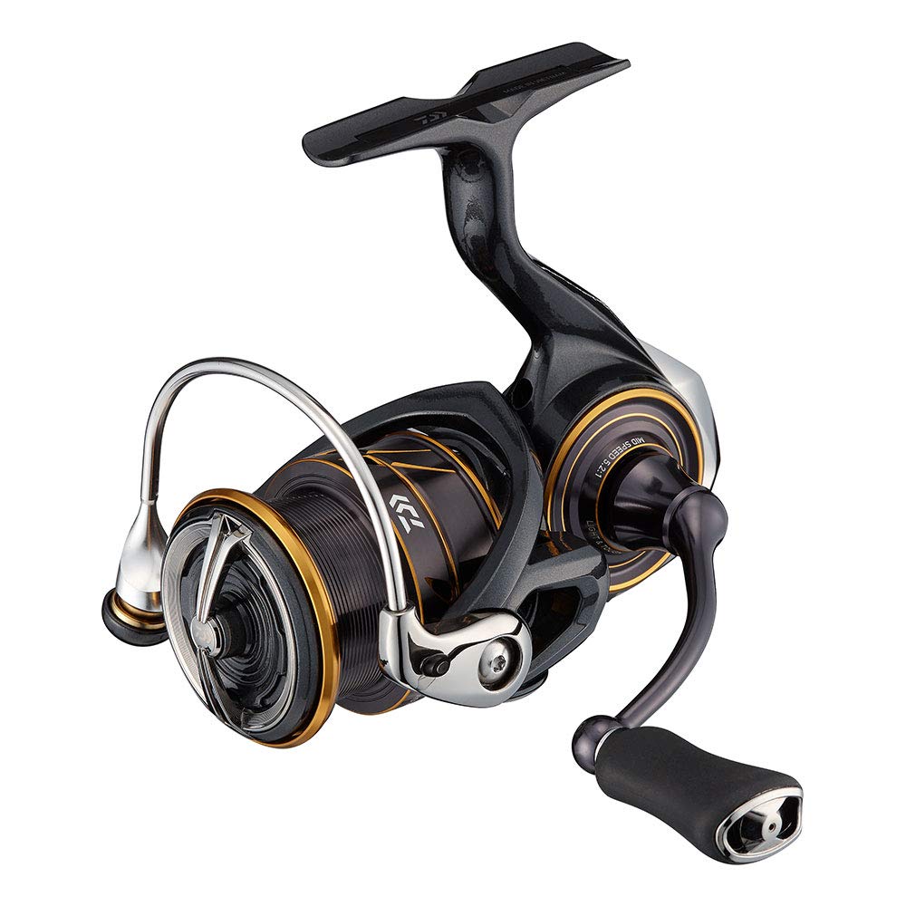 

Daiwa 21 Caldia LT2500