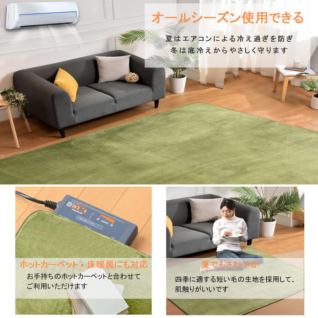 AICOMRI Thick Memory Foam 15mm Fits 3 Tatami Compatible with Underfloor Heating and Hot Solid Green Rug, Rug, Thick, 190x240cm, Mats, Non-Slip,