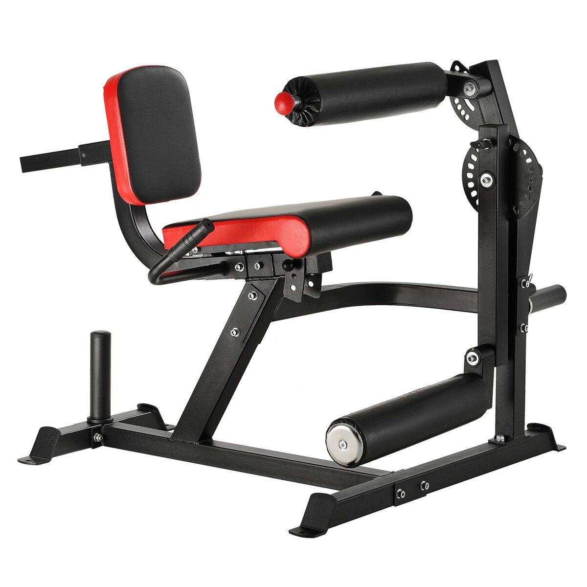 Leg Extension and Curl Machine Lower