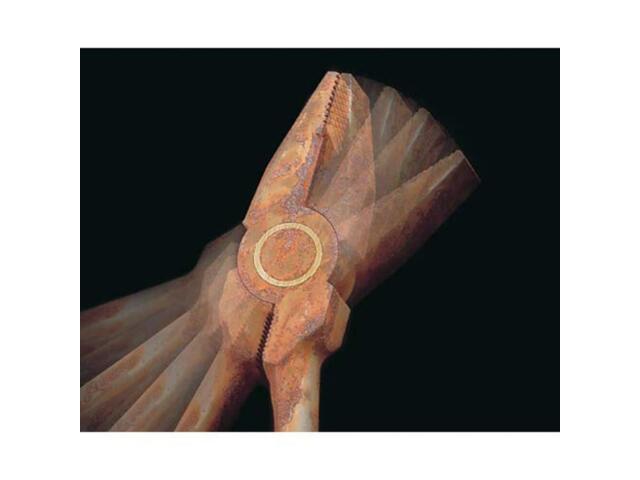 Maruto Hasegawa Keiba High Grade Side Metal Cutting Pliers 150mm FCC-106 NEW