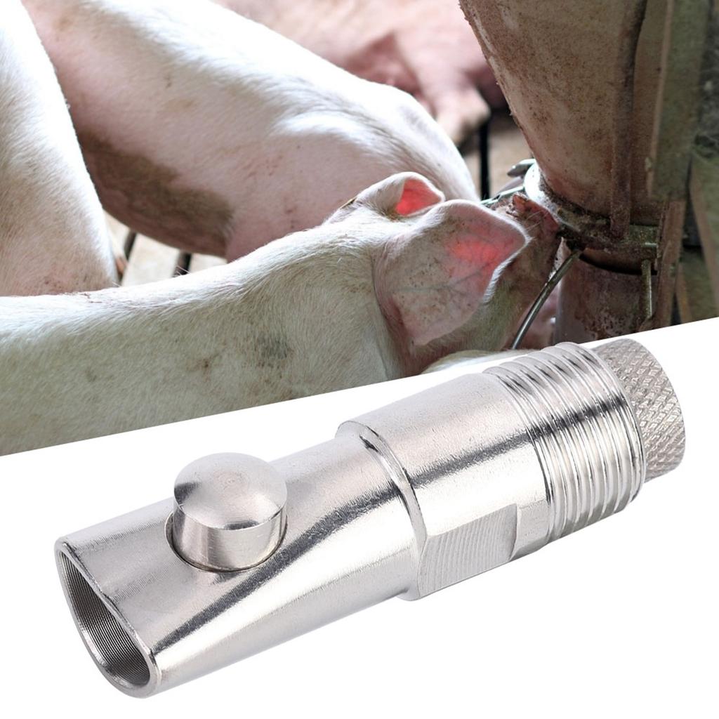 5Pcs DN15 Stainless Steel Flat Nozzle Automatic Pig Drinker Farm Accessory for Cattle Sheep Pig68mm