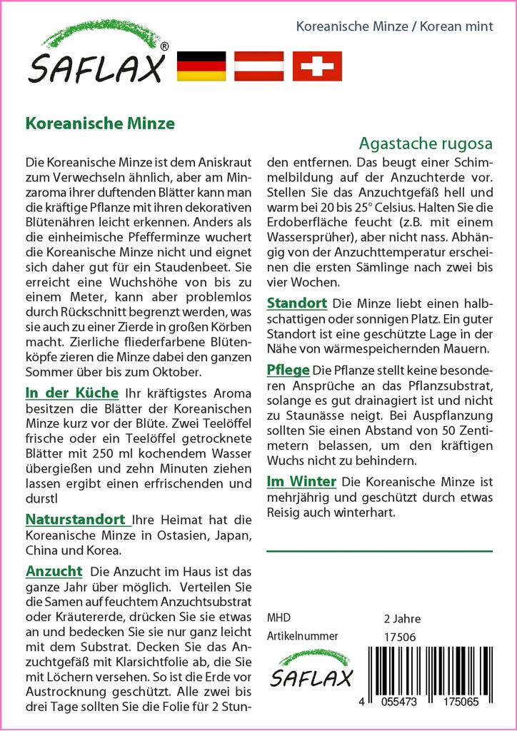 SAFLAX Korejská máta - 1200 semen - Se substrátem pro zalévání pro lepší pěstování - Agastache rugosa