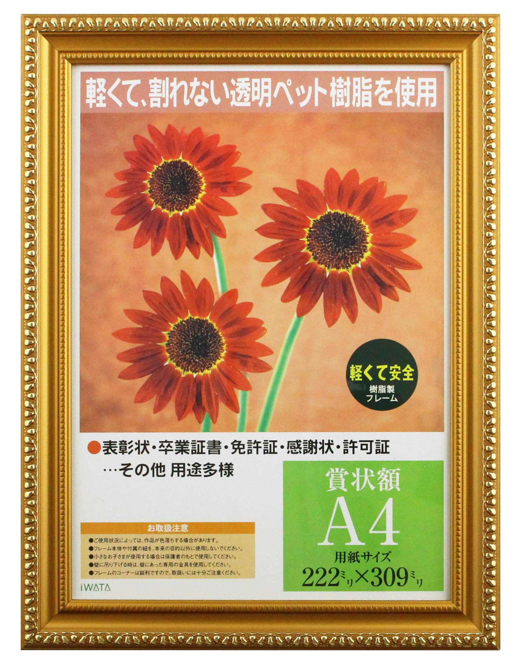

Iwata Picture Award Gold Resin PET Frame, Frame, Frame, A4, PSKK-PET-SP-A4 золотой