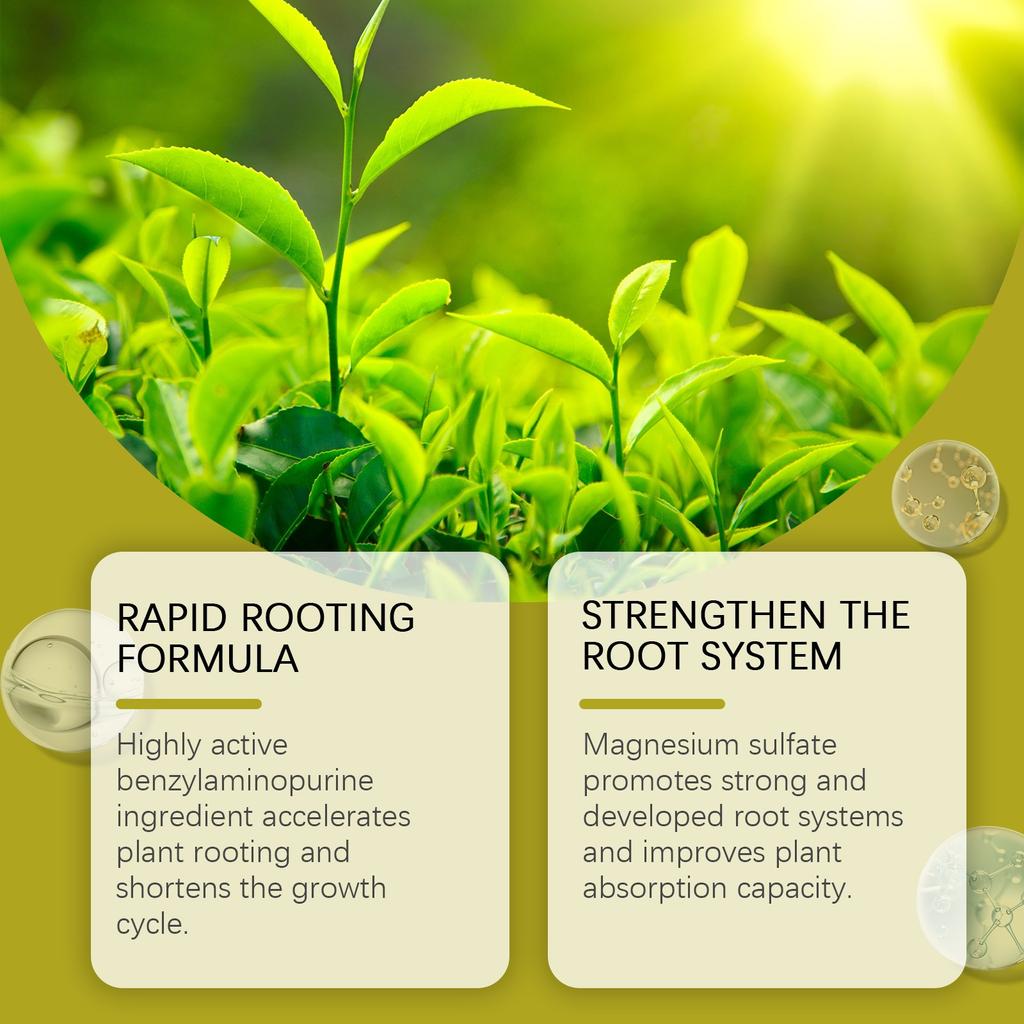 Zelená rostlinná zakořeňovací tekutina Rostlinná kořenová výživová tekutina Dusík Draslík Tekuté hnojivo 100 ml