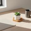 Pot Drainage Tray Multiple Shapes Bamboo Waterproof Round Plant Saucer for Indoor,