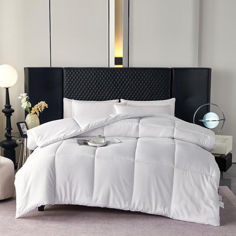 YEKEROLAN Cloud Soft Winter Duvet