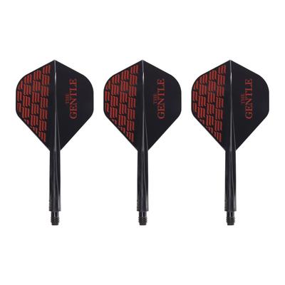 Kapalı alan sporları – Dart Oyunu