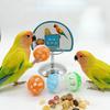 Parrot Basketball Hoop Interactive Intelligence Toy Skill Training Prop Metal Basketball Stand for Cockatiel Monk Peony Parrot