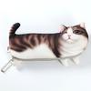 Creative Student Simulation Cat Pencil Case  Version of Stationery Bags for Boys and Girls In Junior and Senior High SchoolCute Children's Pencil Box