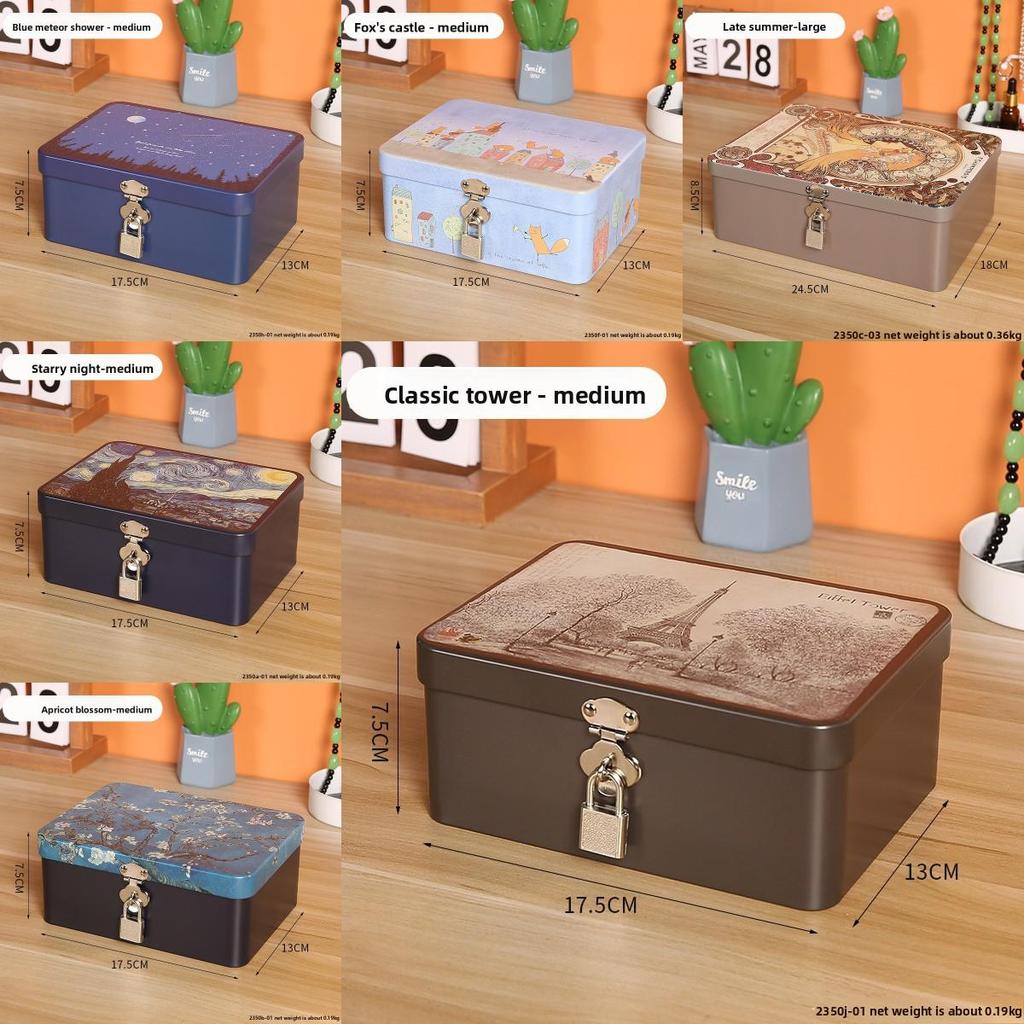 Modern Simple Storage Box With Lock For Office Desk And Makeup Organizer