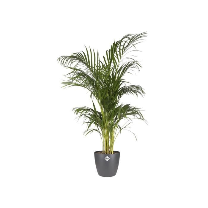 ELHO Pot de fleurs Brussels Rond - Ø 30 x H27,1 cm - Anthracite