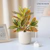 Plastic Tropical Banyan Tree 35 Leaves Fake Ficus Tree  Hotel Restaurant Decor