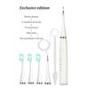 USB Charging Electric Teeth Cleaner Waterproof Dental Calculus Remover  Plaque Removal