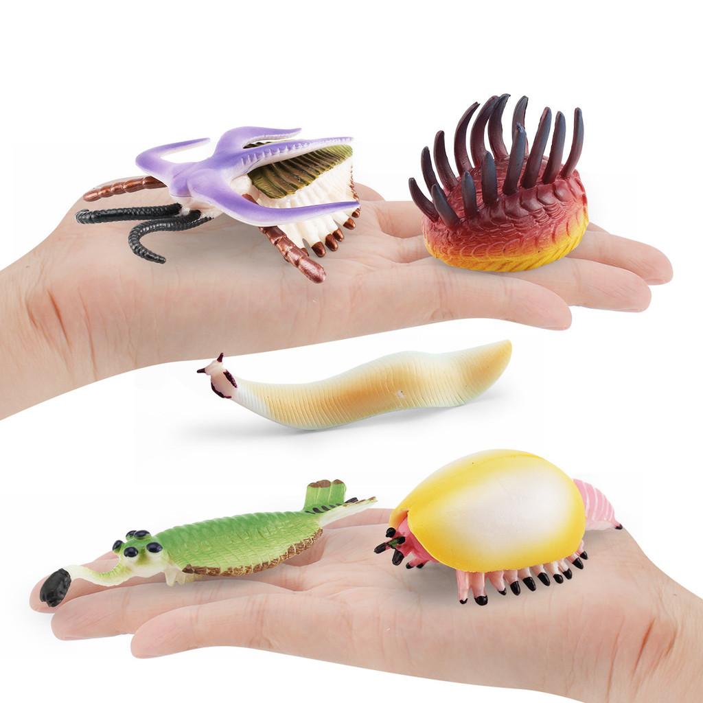 Realistic Ancient Marine Creature Model Collection Featuring Cambrian Anomalocaridids And More