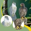 Decorative Garden Eagle, Realistic Imitation, Bird Repellent, Fake for Lawn And Garden.