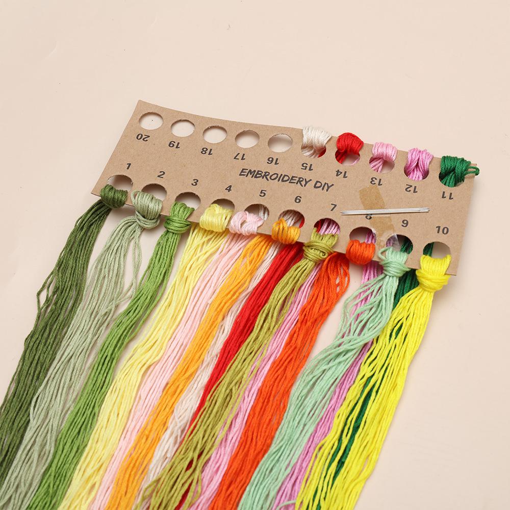 DIY Canvas Tote Bag Embroidery Kit With Flower Pattern Instructions Arts Crafts Supplies Carrying Bag Needlepoint Kits Beginners