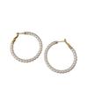 Korean popular simple personality large circle earrings women's light luxury high-end earrings fashion temperament versatile tide earrings
