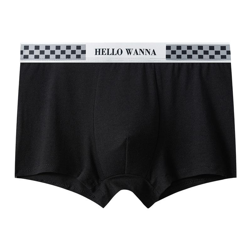 Summer Thin Men's Underwear Breathable Letter Waist Flat Angle Pants for Men