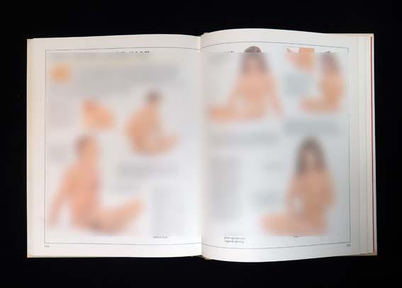 [USED] The ultimate sex book