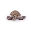 Papo Sea Turtle PVC PA56005