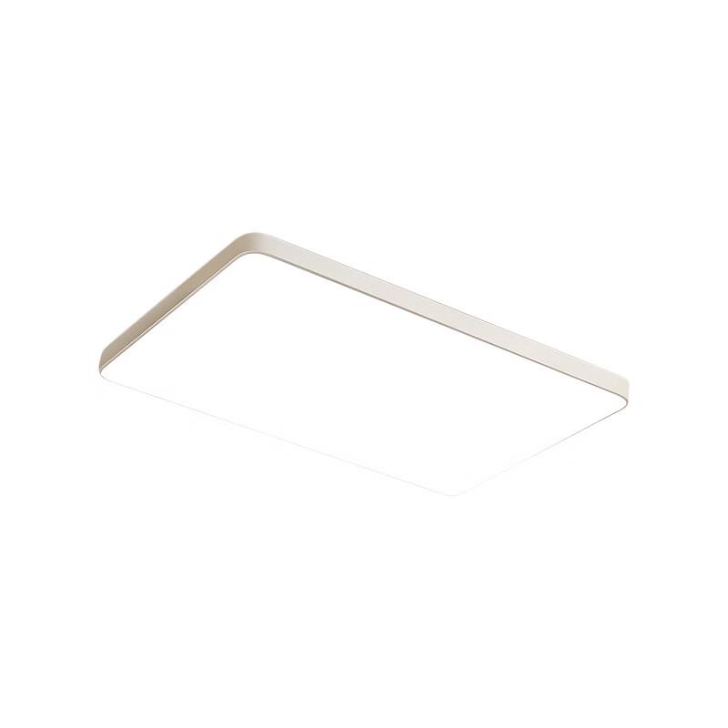 Meng Pao Modern Iron Ceiling Light