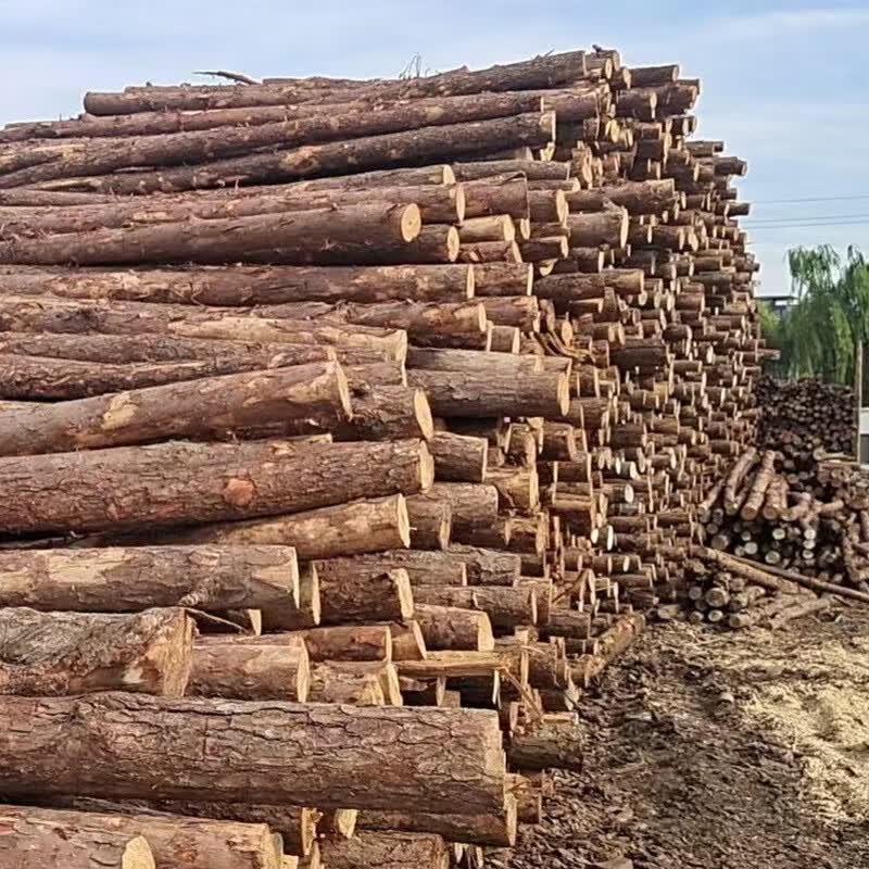 Sharpened Wood Landscape Stakes