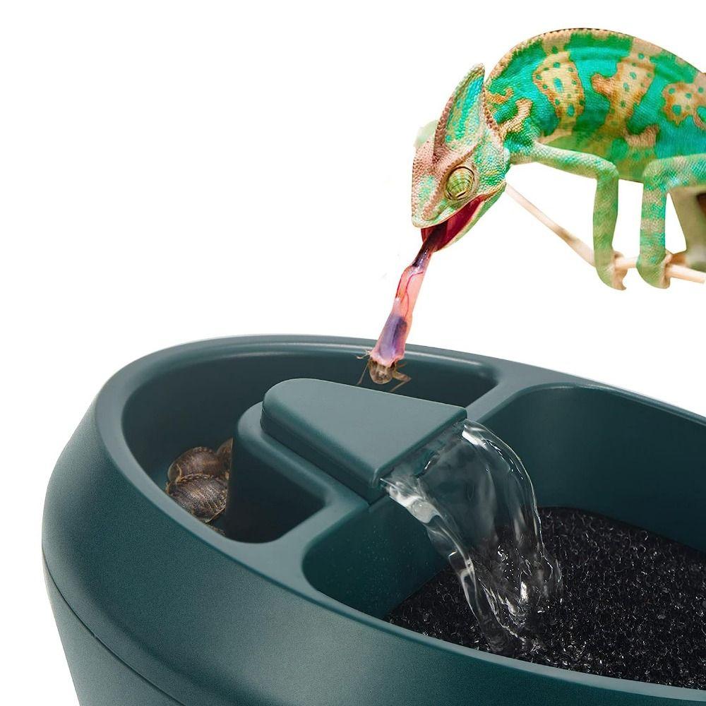 US Plugg Øgle Vanndrypper Plast Amfibie Drikkefontene Øgle Foss Gecko