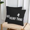 Muay Thai Gloves Thailand Boxing Fighter College 2 Pcs Square Pillowcase Pillow Cover Cushion Throw Pillow For Home Living Room
