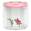 DC 5V 5L USB Aquarium Halbmond Aquarium Acryl Große Kapazität Schreibtisch Aquarienfisch Haustierbedarf Mini LED Aquarium