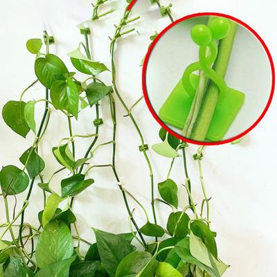 10Pcs/Set Saving Space Plant Clip Drill Free Flexible Climbing Wall Green Plant Fixer Vine Hook for Garden