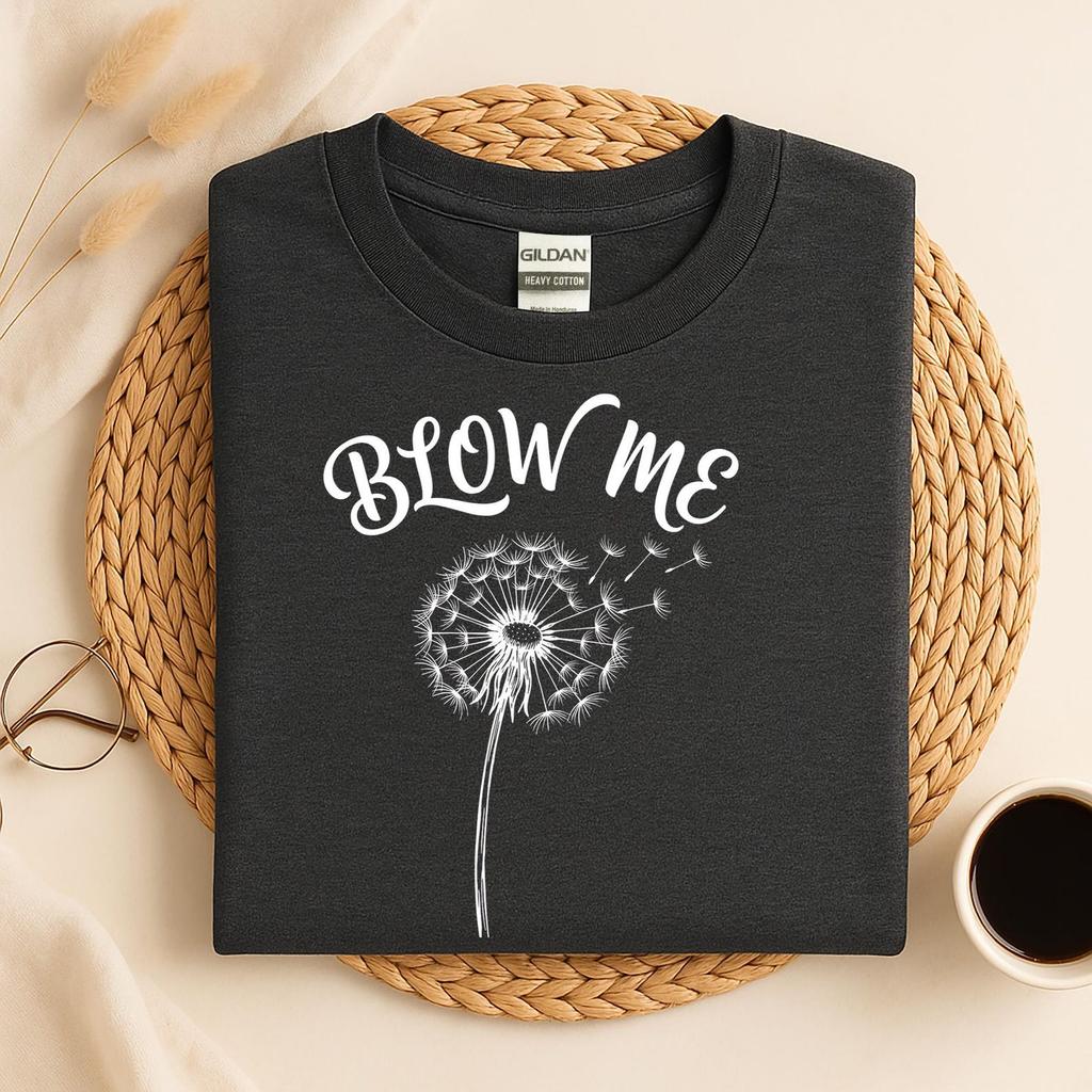 Funny Blow Me Shirt, Funny Inappropriate Quote Tee, Sarcastic Adult Humor Graphic T-Shirt