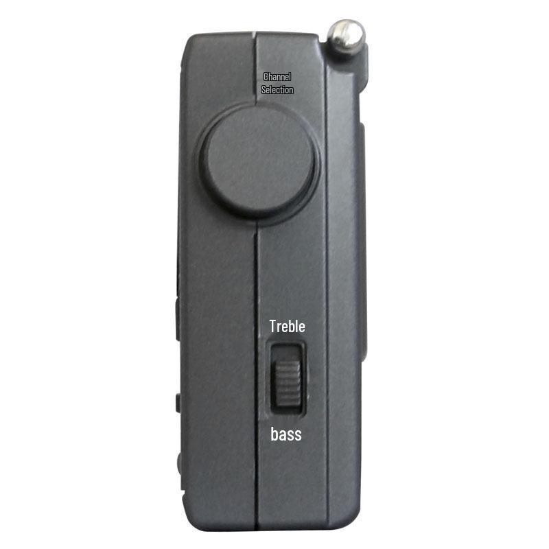PANDA 6128 Elderly Radio with Digital Display & Auto-On Clock for Campus Broadcasts