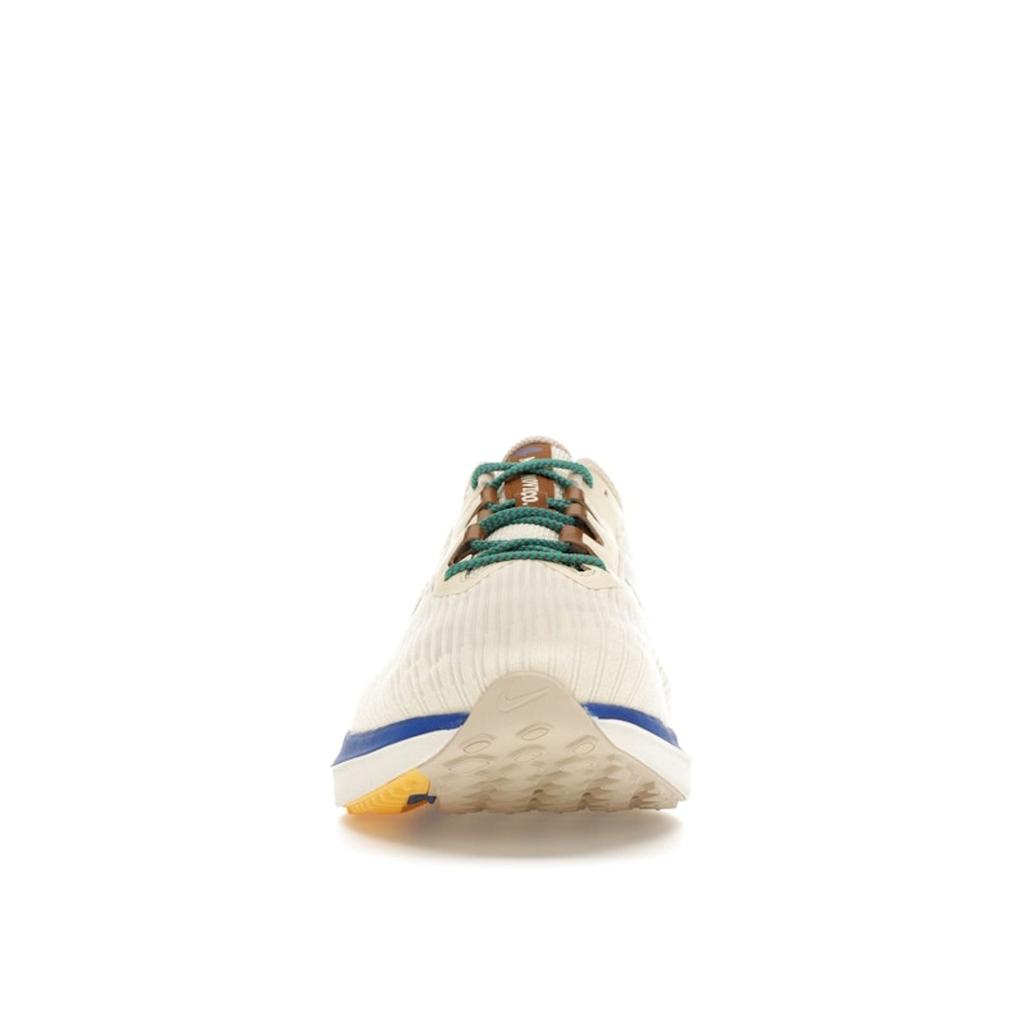 Nike Air Winflo 9 Premium Coconut Milk Stadium Green Men Sneakers Cream Sanddrift Racer-Blue DV8997-100