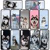 Bella Copertina per Telefono Divertente con Cane Husky per Samsung Galaxy S25 Pro S23 S22 S24 FE Ultra S10 Plus A05 A06 A15 A16 A26 A35 A36 Custodia