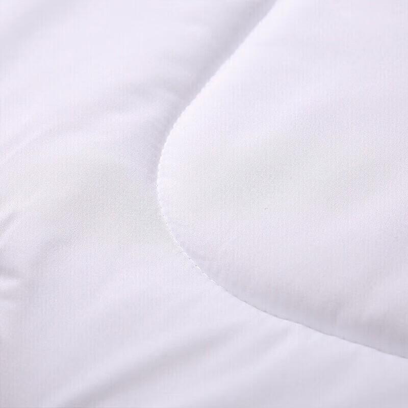 Fuanna Warm Fiber Quilt